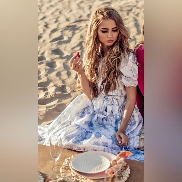 JessAkae Easter Daybreak Short Sleeve Tiered Midi Dress Parisian Print - Picture 9 of 12